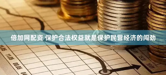 倍加网配资 保护合法权益就是保护民营经济的闯劲