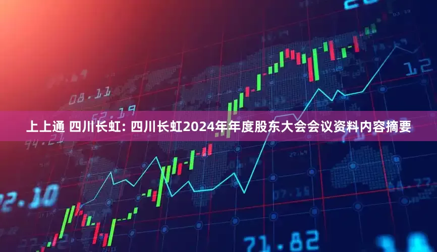 上上通 四川长虹: 四川长虹2024年年度股东大会会议资料内容摘要