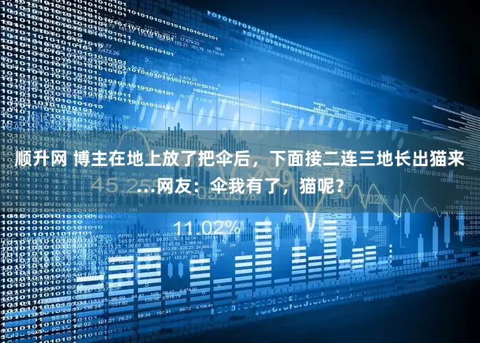 顺升网 博主在地上放了把伞后，下面接二连三地长出猫来…网友：伞我有了，猫呢？