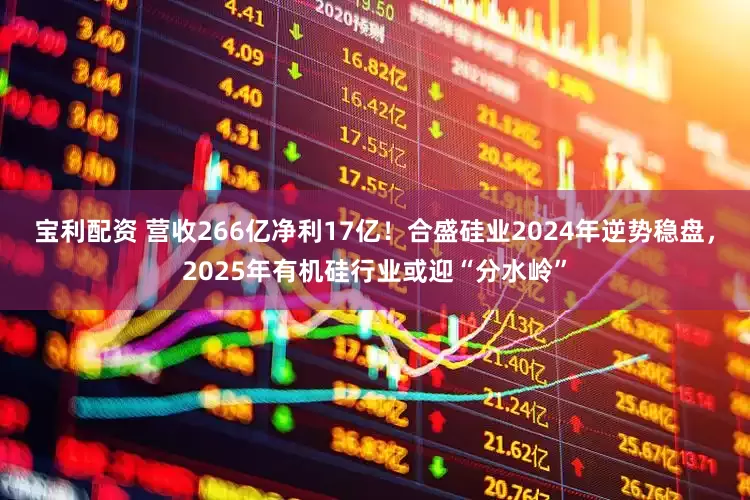 宝利配资 营收266亿净利17亿！合盛硅业2024年逆势稳盘，2025年有机硅行业或迎“分水岭”
